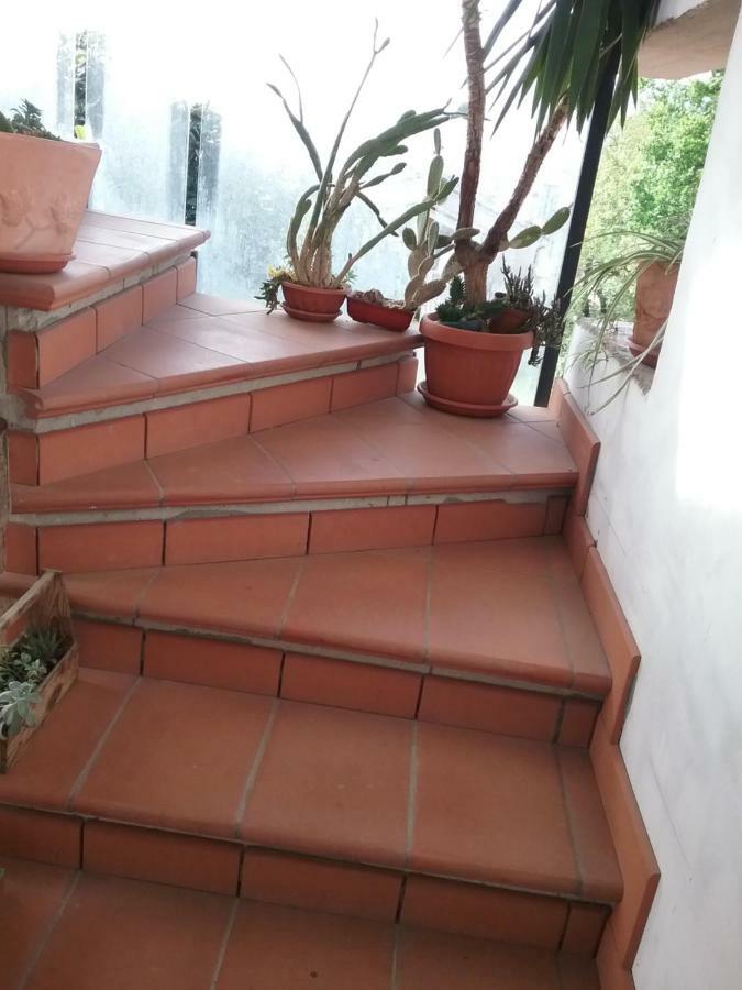 Appartamento Relax แตร์นี ภายนอก รูปภาพ