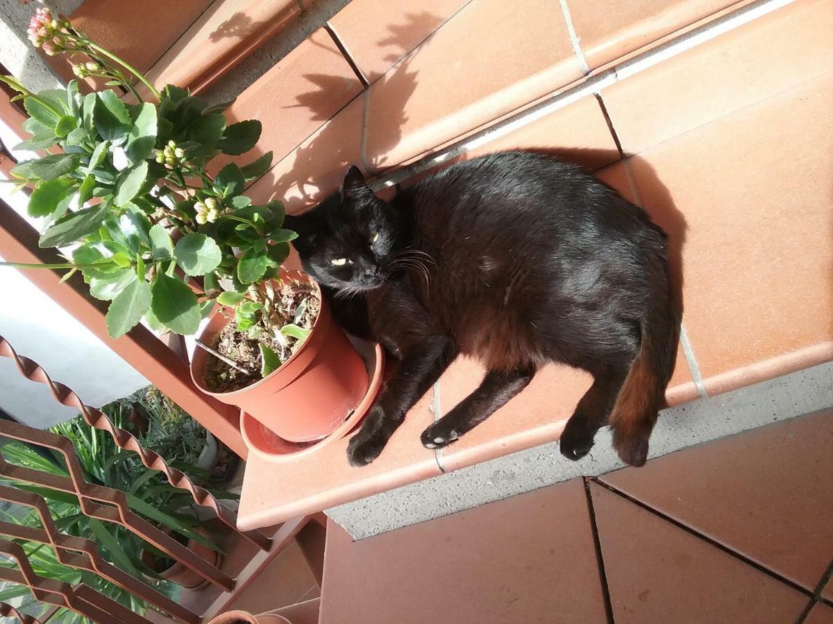 Appartamento Relax แตร์นี ภายนอก รูปภาพ